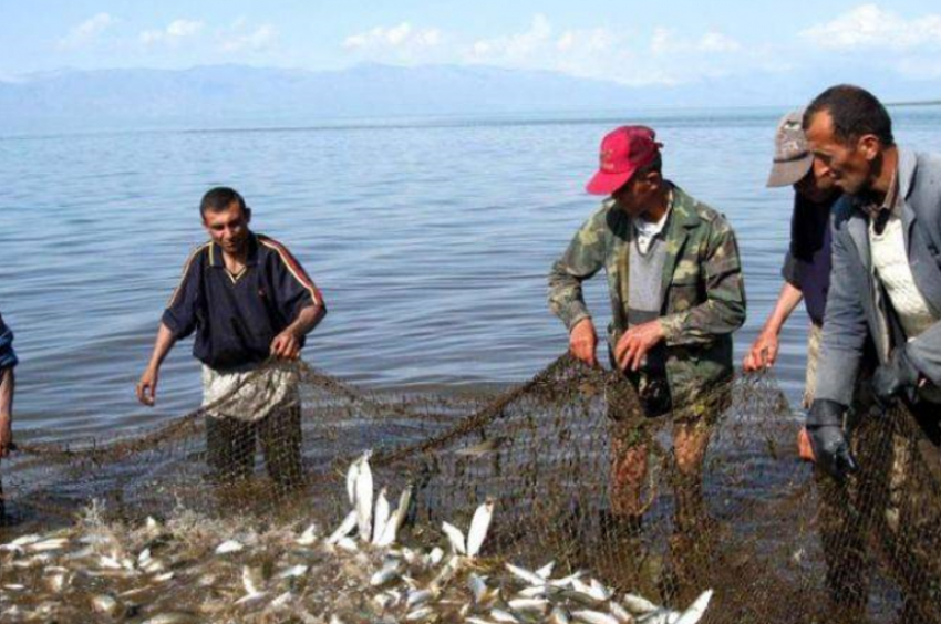 Սևանա լճում սիգի որսը արգելվում է մինչև փետրվարի 1-ը