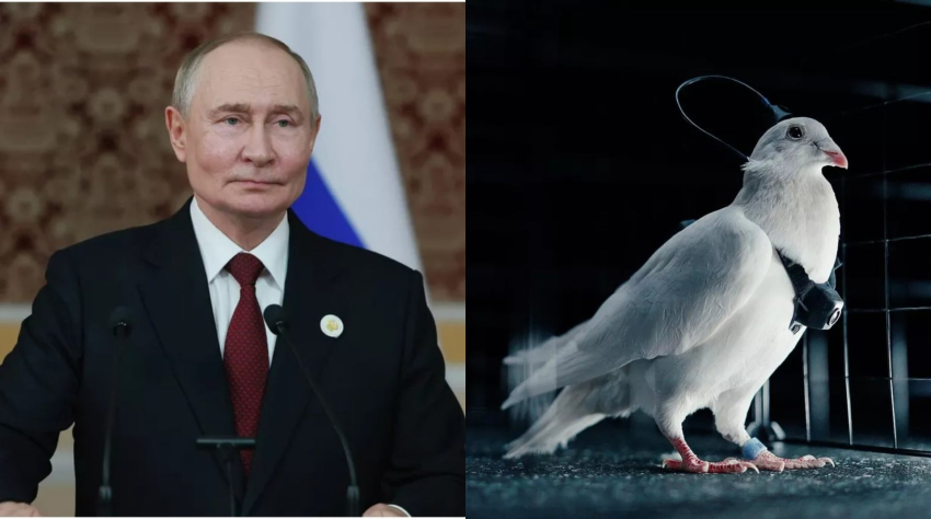 Մեծ Բրիտանիան վախեցած է Պուտինի նոր յուրօրինակ «զենքից»