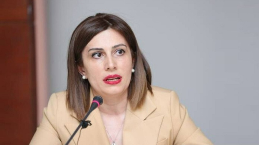 Տեռորիստ, պիղծ, ախտածին, քստմնելի, դավաճաններ. Առողջապահության նախարարը՝ ընդդիմադիրներին