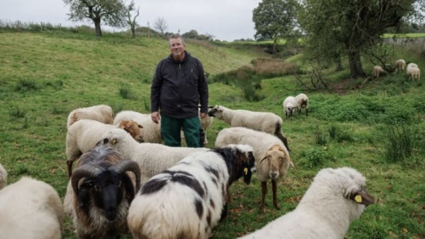 Ինչպես «գեյ» ոչխարները «նվաճեցին» Նյու Յորքի նորաձևության ցուցադրությունը