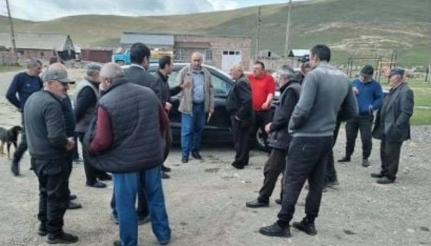 Շիրակի մարզում բրուցելոզի վարակը դուրս է եկել վերահսկողությունից. պատգամավոր