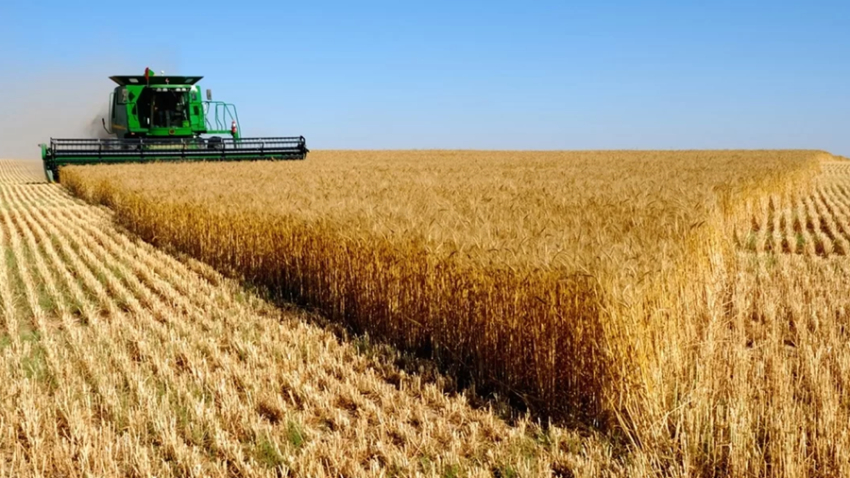 Պարենային ապրանքների համաշխարհային գների հենանիշը փոքր-ինչ նվազել է