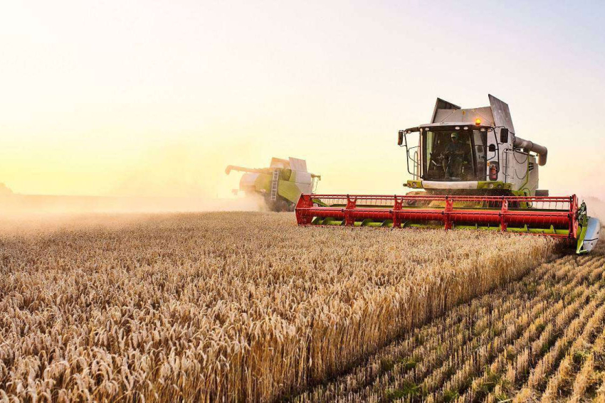 Ադրբեջանից բերված ղազախական ցորենն օգտագործելի է սննդի մեջ կիրառելու համար․ տեսչության ղեկավար