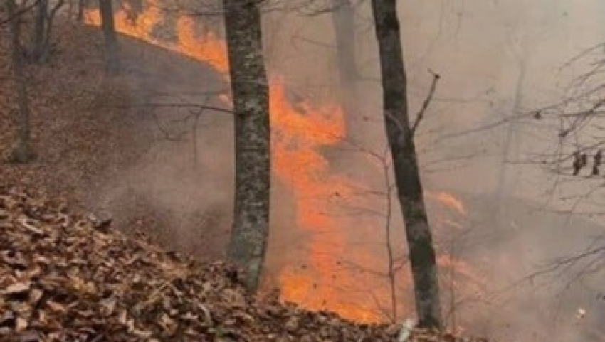 Հրդեհի տարածումը դեպի տներ և «Լեռնային Հայաստան» առողջարան կանխվել է. Փրկարար ծառայությունը նոր մանրամասներ է հայտնում